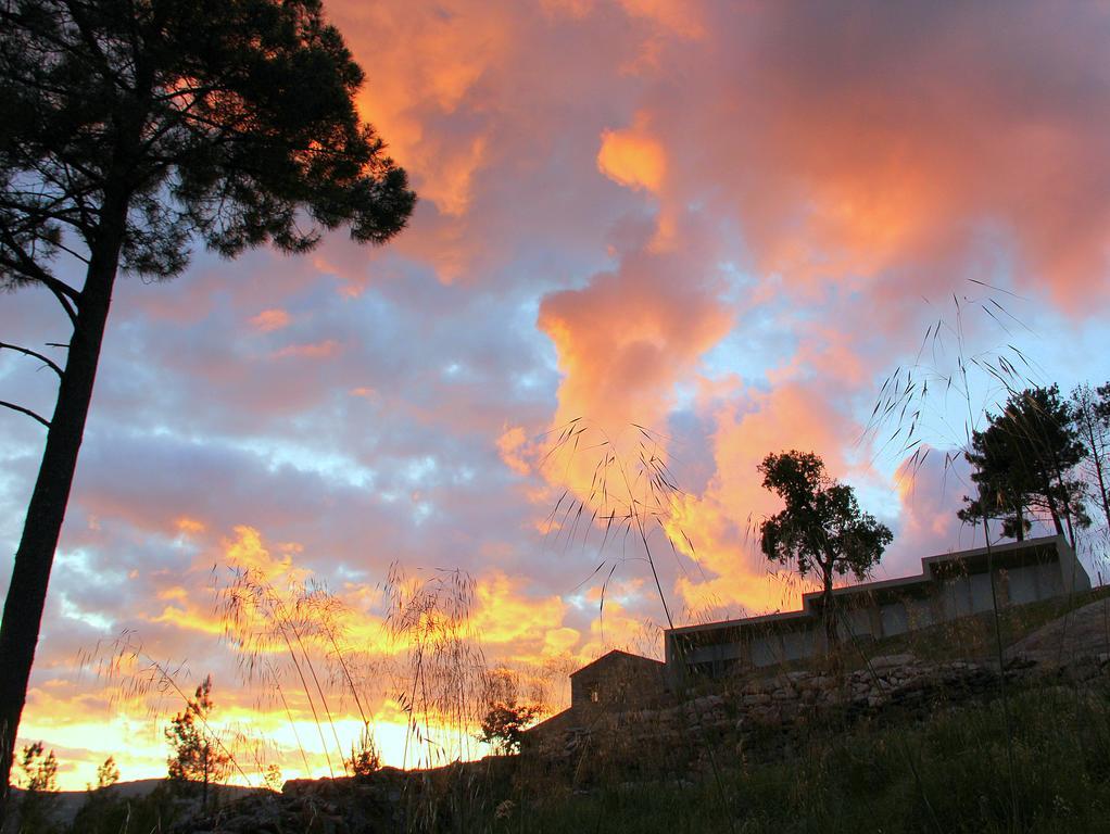 Casa Do Vale De Cerdeiras Villa Ancede ภายนอก รูปภาพ